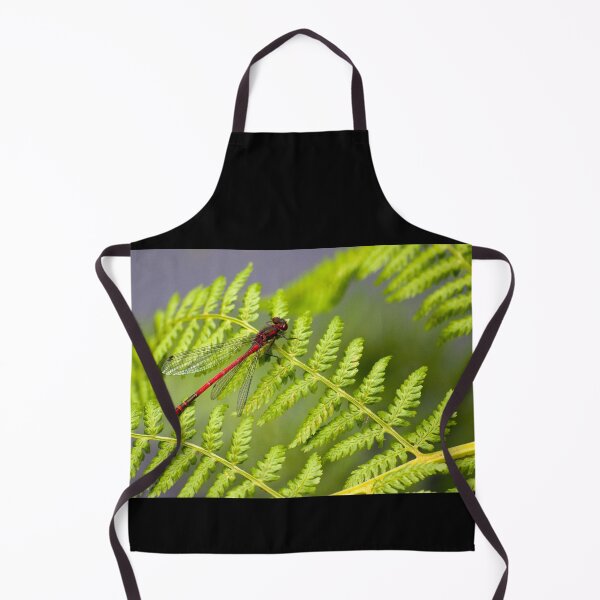 Item preview, Large red damselfly (Pyrrhosoma nymphula) designed and sold by Stephen Jarman.