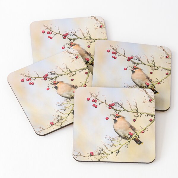Item preview, Bohemian Waxwing and Hawthorn Berries II designed and sold by Jane Stanley Photography.