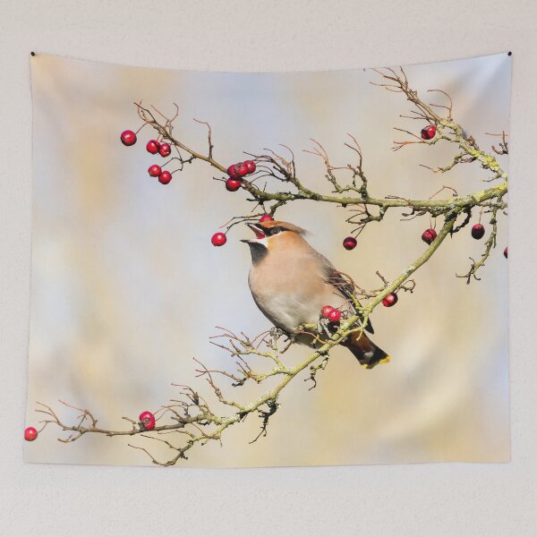 Item preview, Bohemian Waxwing and Hawthorn Berries II designed and sold by Jane Stanley Photography.