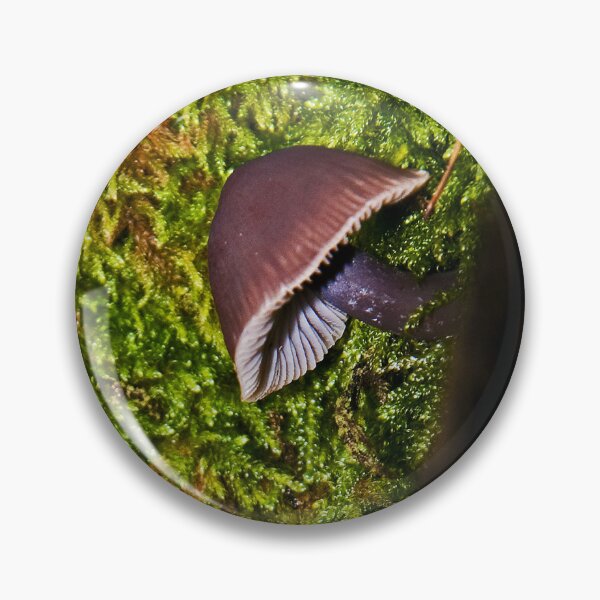 Item preview, Common bonnet mushroom (Mycena galericulata) designed and sold by Stephen Jarman.