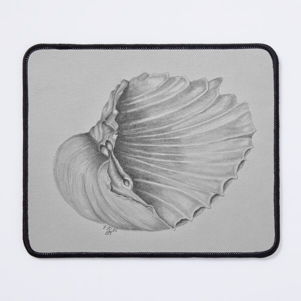 Item preview, Cockle Shell designed and sold by Natural Elements.