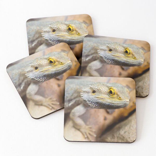 Item preview, Bearded dragon (Pogona vitticeps) designed and sold by Stephen Jarman.