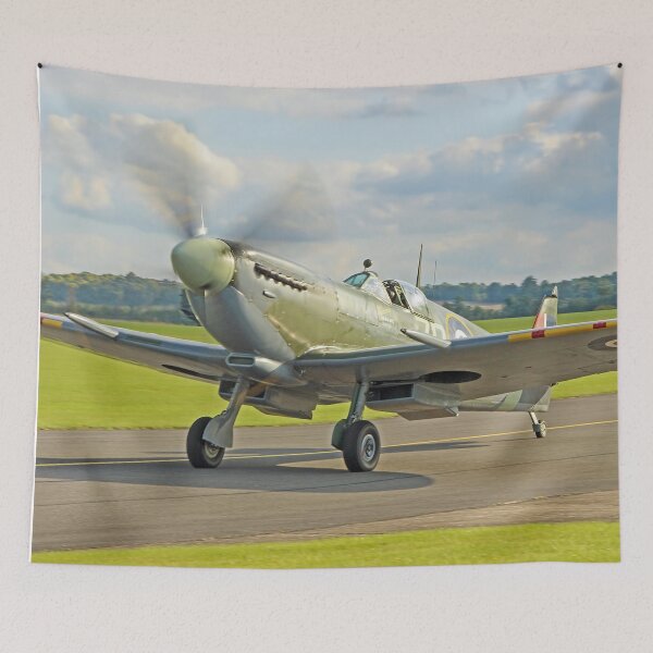 Item preview, Spitfire MH434 - Duxford designed and sold by Colin  Williams Photography.