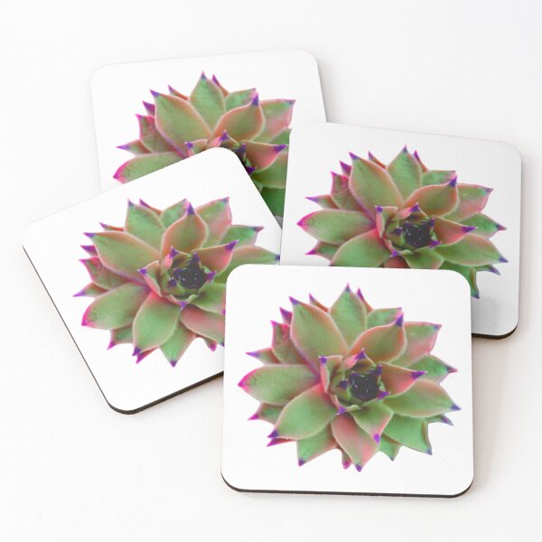 Item preview, Suculenta rosa, verde y morada | cactus rosa y verde designed and sold by hollycooper.