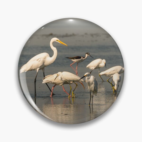 Item preview, Egrets and Shorebirds on Coastal Mudflat designed and sold by Debra Martz.