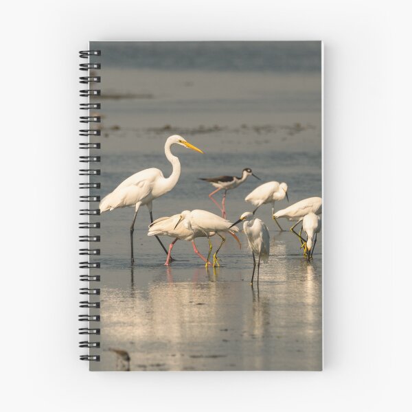 Item preview, Egrets and Shorebirds on Coastal Mudflat designed and sold by Debra Martz.