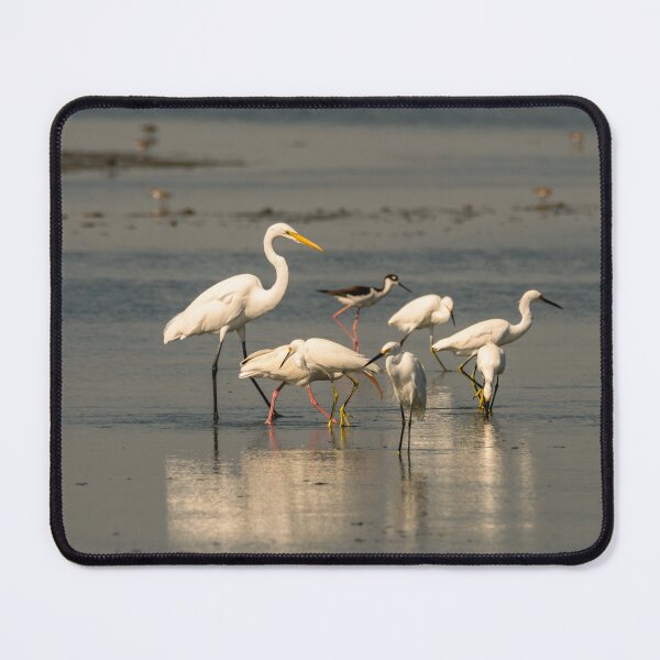 Item preview, Egrets and Shorebirds on Coastal Mudflat designed and sold by Debra Martz.