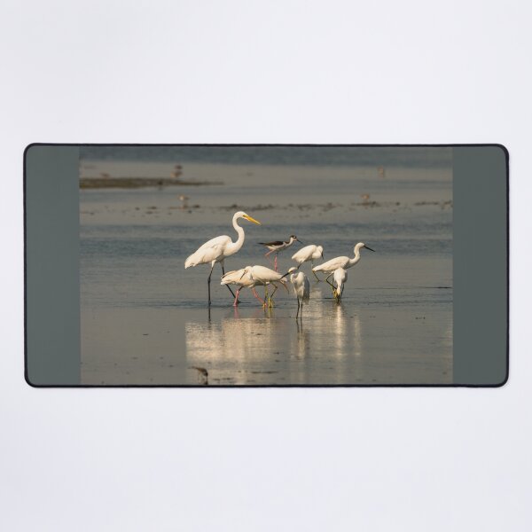 Item preview, Egrets and Shorebirds on Coastal Mudflat designed and sold by Debra Martz.