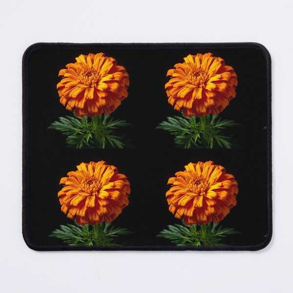 Item preview, The Heart of a Marigold designed and sold by PTB-SHOP.