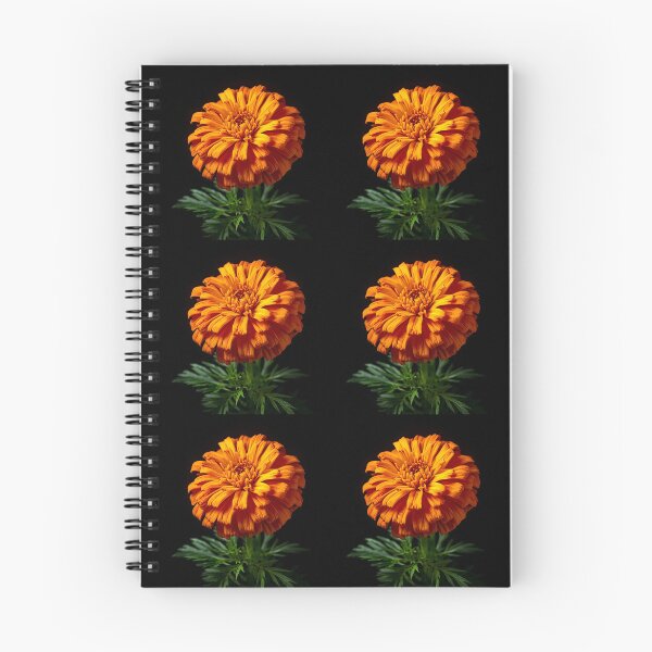 Item preview, The Heart of a Marigold designed and sold by PTB-SHOP.