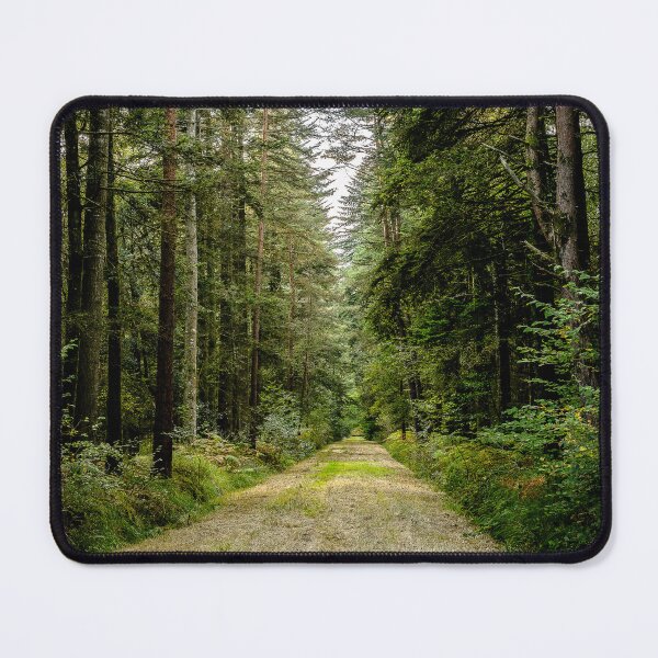 Item preview, Brocéliande - The Druids' Alley designed and sold by CL.PHOTOGRAPHIE.
