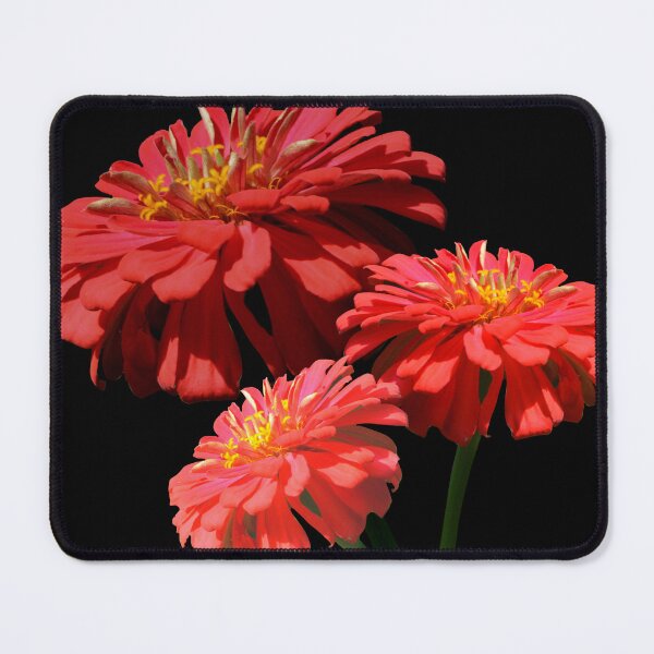 Item preview, Pretty orange florals  orange mums orange zinnias orange daisy orange flowers  designed and sold by hollycooper.
