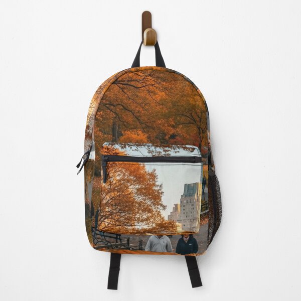 Item preview, Central Park in autumn designed and sold by Losancestros.