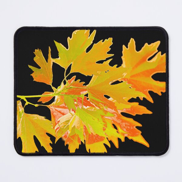 Item preview, Golden leaves of autumn against a black background designed and sold by Dalyndigital Photography.