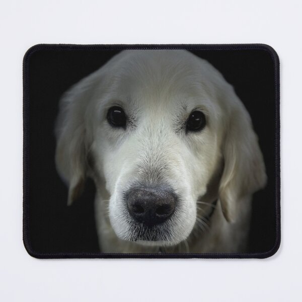 Item preview, English Cream Golden Retriever Portrait designed and sold by DeeplineArt.