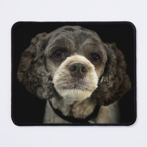 Item preview, Cockapoo Portrait  designed and sold by DeeplineArt.