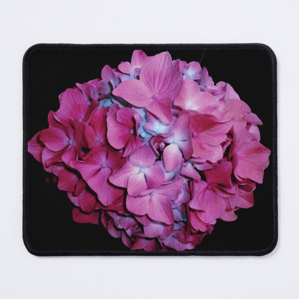 Item preview, Romantic Raspberry rose hydrangea, pink floral photo, purple roses | light blue hydrangea designed and sold by hollycooper.