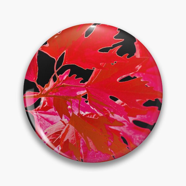 Item preview, Red leaves of the acer tree designed and sold by Dalyndigital Photography.