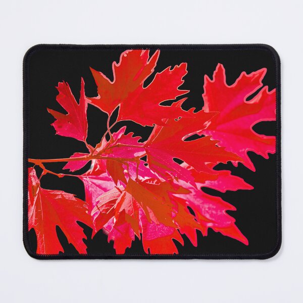 Item preview, Red leaves of the acer tree designed and sold by Dalyndigital Photography.