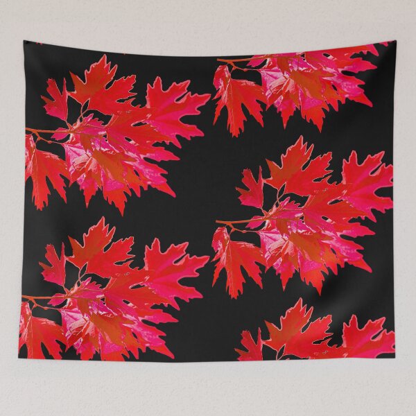 Item preview, Red leaves of the acer tree designed and sold by Dalyndigital Photography.