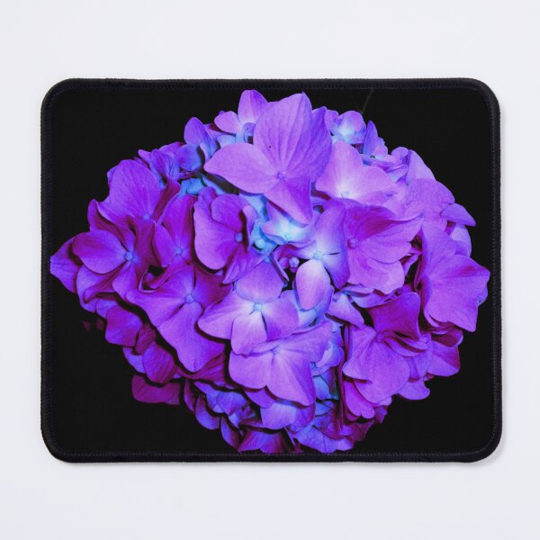 Item preview, Romantic Violet blue hydrangea, purple floral photo, purple roses | very peri periwinkle hydrangea designed and sold by hollycooper.
