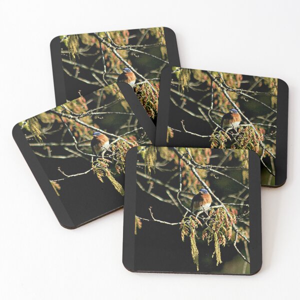 Item preview, Eastern Bluebird sitting amidst oak blossoms designed and sold by Bonnie's Playground.
