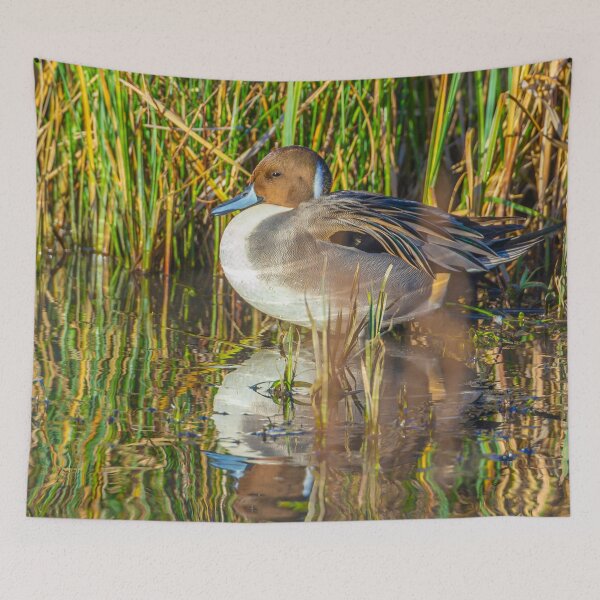 Item preview, Relaxing Pintail Duck and his reflections designed and sold by Dalyndigital Photography.