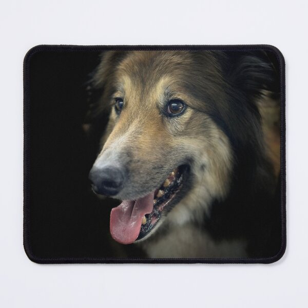Item preview, Shetland Sheepdog Portrait designed and sold by DeeplineArt.