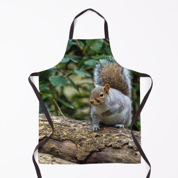 Item preview, Grey Squirrel in Roath Park Cardiff designed and sold by VnGphoto.