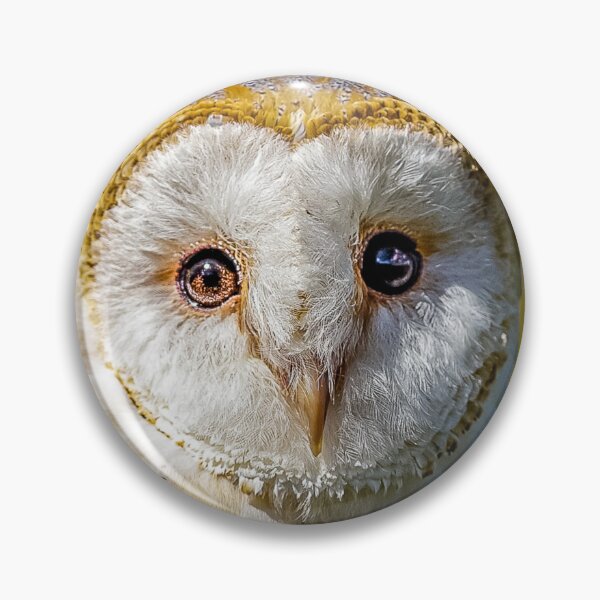 Item preview, Bright eyes of a Barn owl designed and sold by Dalyndigital Photography.
