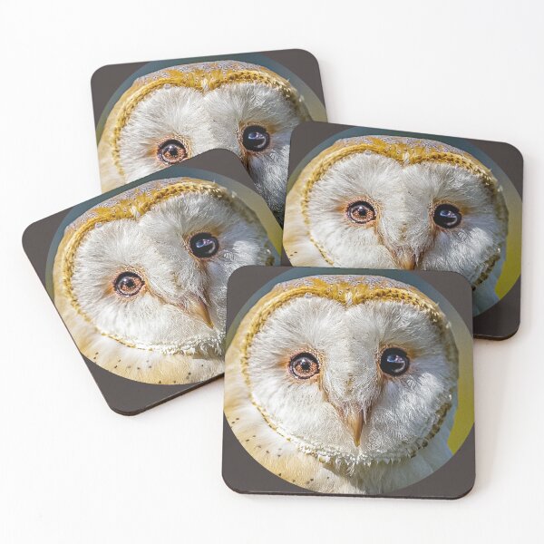 Item preview, Bright eyes of a Barn owl designed and sold by Dalyndigital Photography.