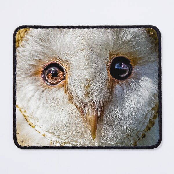 Item preview, Bright eyes of a Barn owl designed and sold by Dalyndigital Photography.