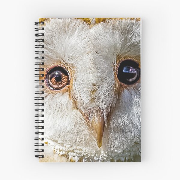 Item preview, Bright eyes of a Barn owl designed and sold by Dalyndigital Photography.