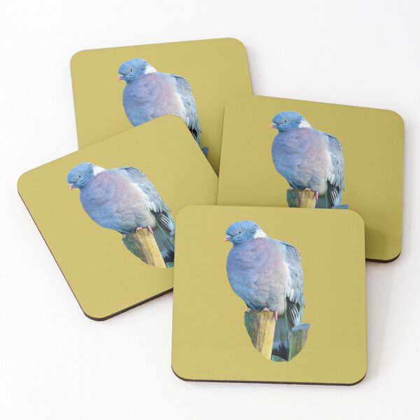 Item preview, Adult Wood pigeon on his post designed and sold by Dalyndigital Photography.