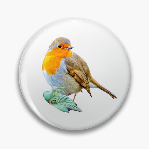 Item preview, Robin keeping an eye out for a worm breakfast designed and sold by Dalyndigital Photography.