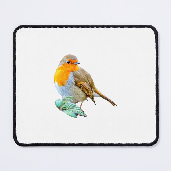 Item preview, Robin keeping an eye out for a worm breakfast designed and sold by Dalyndigital Photography.