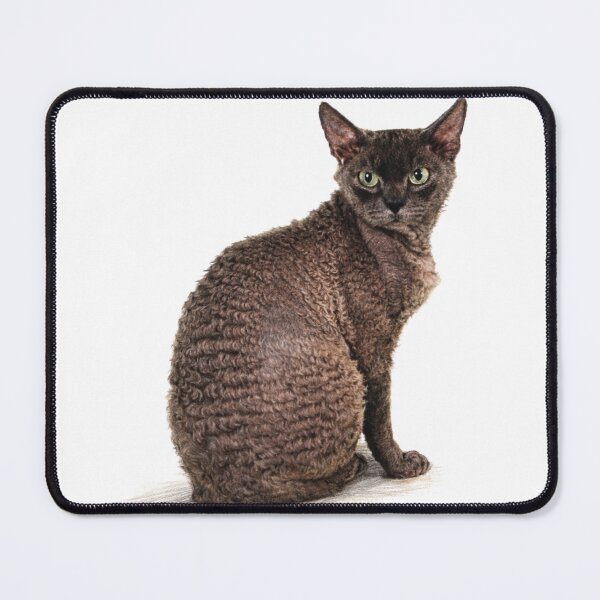 Item preview, Cat designed and sold by StudioLonginus.