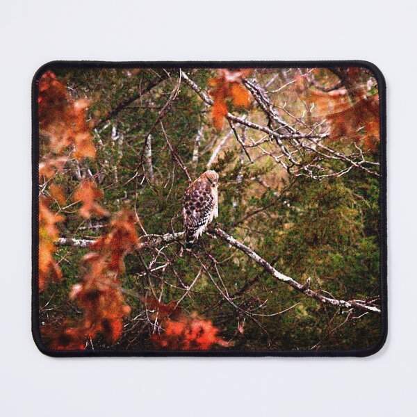 Item preview, Hawk hunting from oak tree designed and sold by Bonnie's Playground.