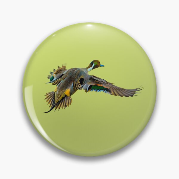 Item preview,  Pintail drake in flight designed and sold by Dalyndigital Photography.