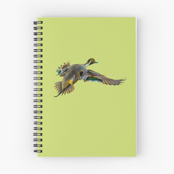 Item preview,  Pintail drake in flight designed and sold by Dalyndigital Photography.