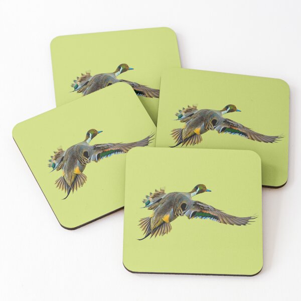 Item preview,  Pintail drake in flight designed and sold by Dalyndigital Photography.