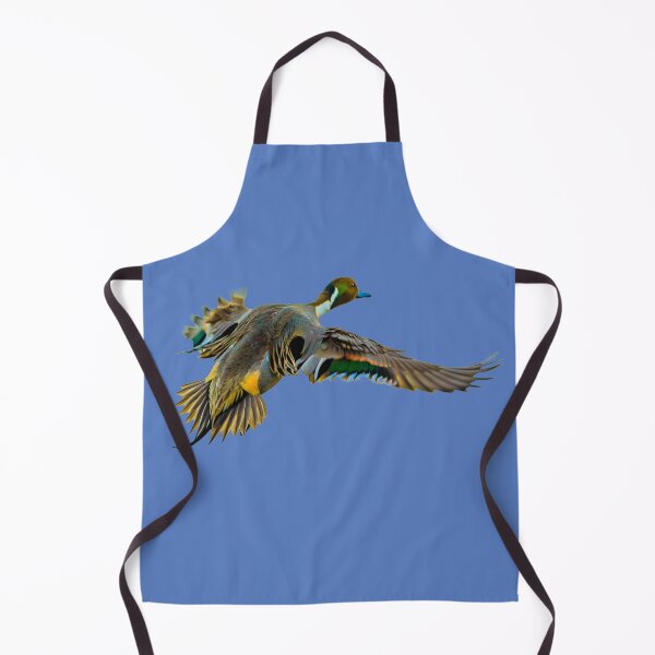 Item preview, Pintail drake in flight designed and sold by Dalyndigital Photography.