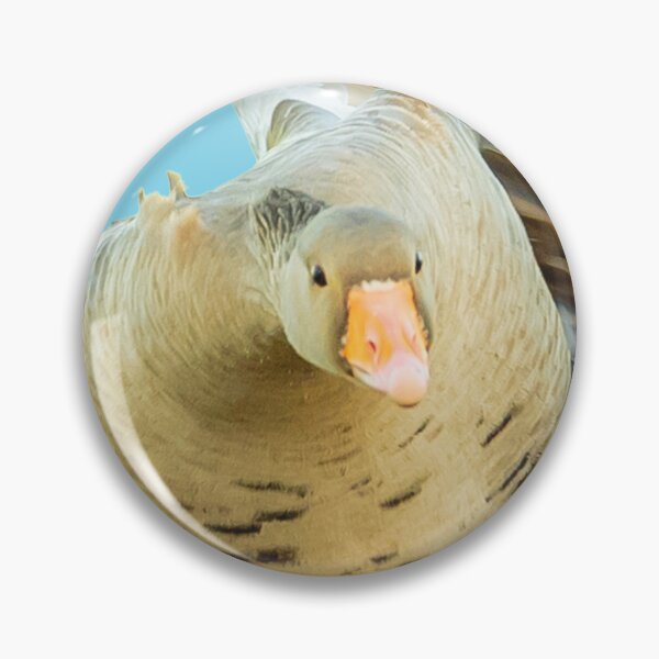 Item preview, Greylag goose incoming designed and sold by Dalyndigital Photography.