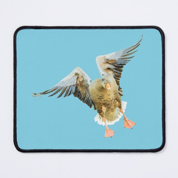 Item preview, Greylag goose incoming designed and sold by Dalyndigital Photography.