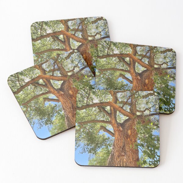 Item preview, Majestic Tree from the Southwest  designed and sold by hollycooper.