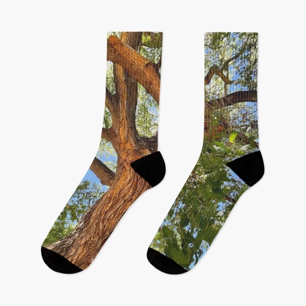 Item preview, Majestic Tree from the Southwest  designed and sold by hollycooper.