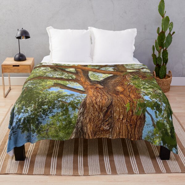 Item preview, Majestic Tree from the Southwest  designed and sold by hollycooper.