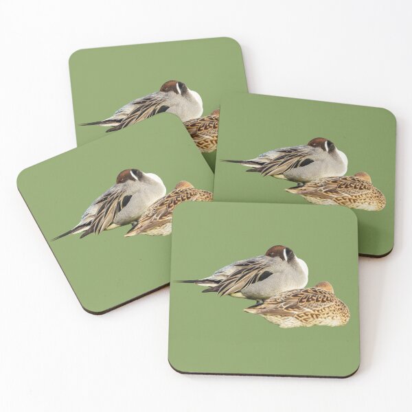 Item preview, Resting Pintail Pair  designed and sold by Dalyndigital Photography.