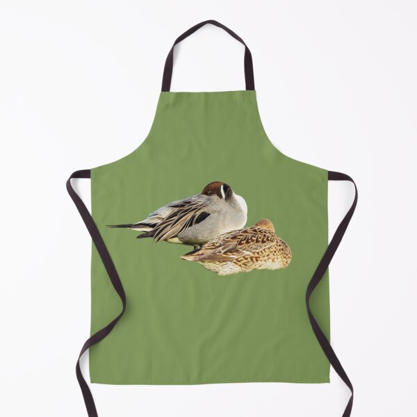 Item preview, Resting Pintail Pair designed and sold by Dalyndigital Photography.