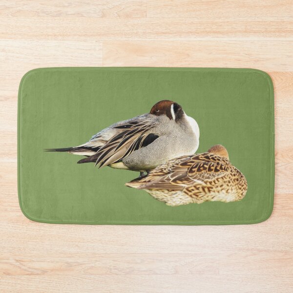 Item preview, Resting Pintail Pair  designed and sold by Dalyndigital Photography.
